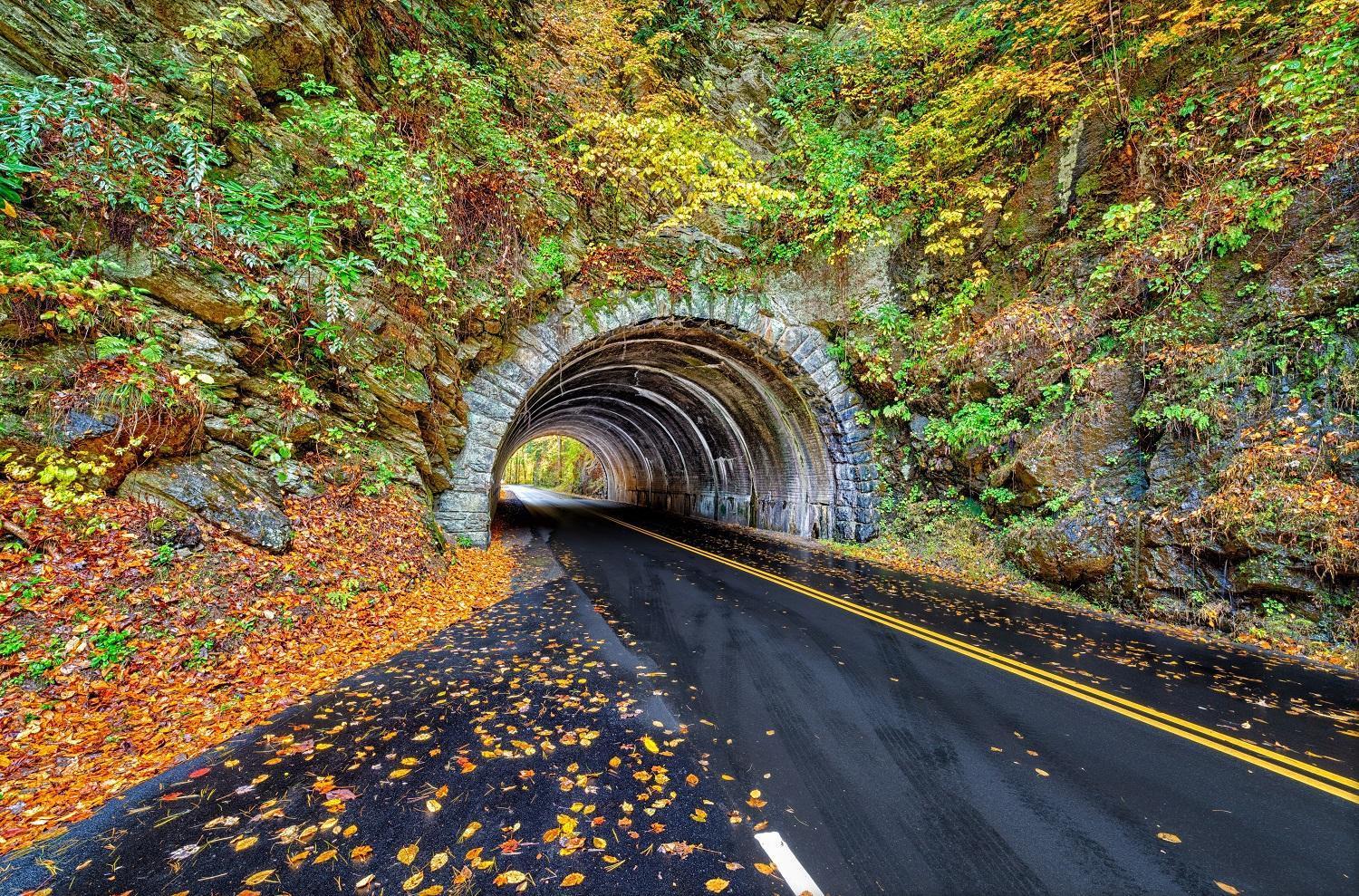 A Million Dollar View- Get 951 Worth Of Free Area Attraction Tickets For Each Paid Day! Gatlinburg Exterior foto