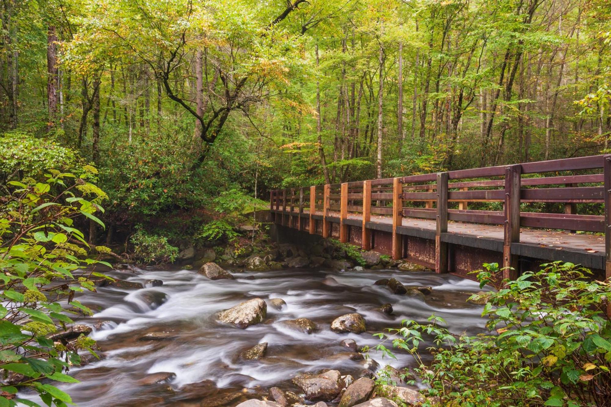 A Million Dollar View- Get 951 Worth Of Free Area Attraction Tickets For Each Paid Day! Gatlinburg Exterior foto