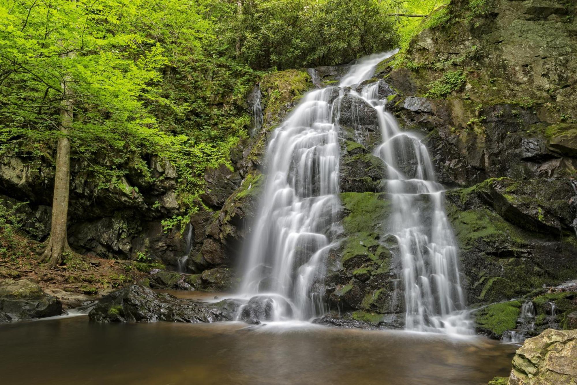 A Million Dollar View- Get 951 Worth Of Free Area Attraction Tickets For Each Paid Day! Gatlinburg Exterior foto